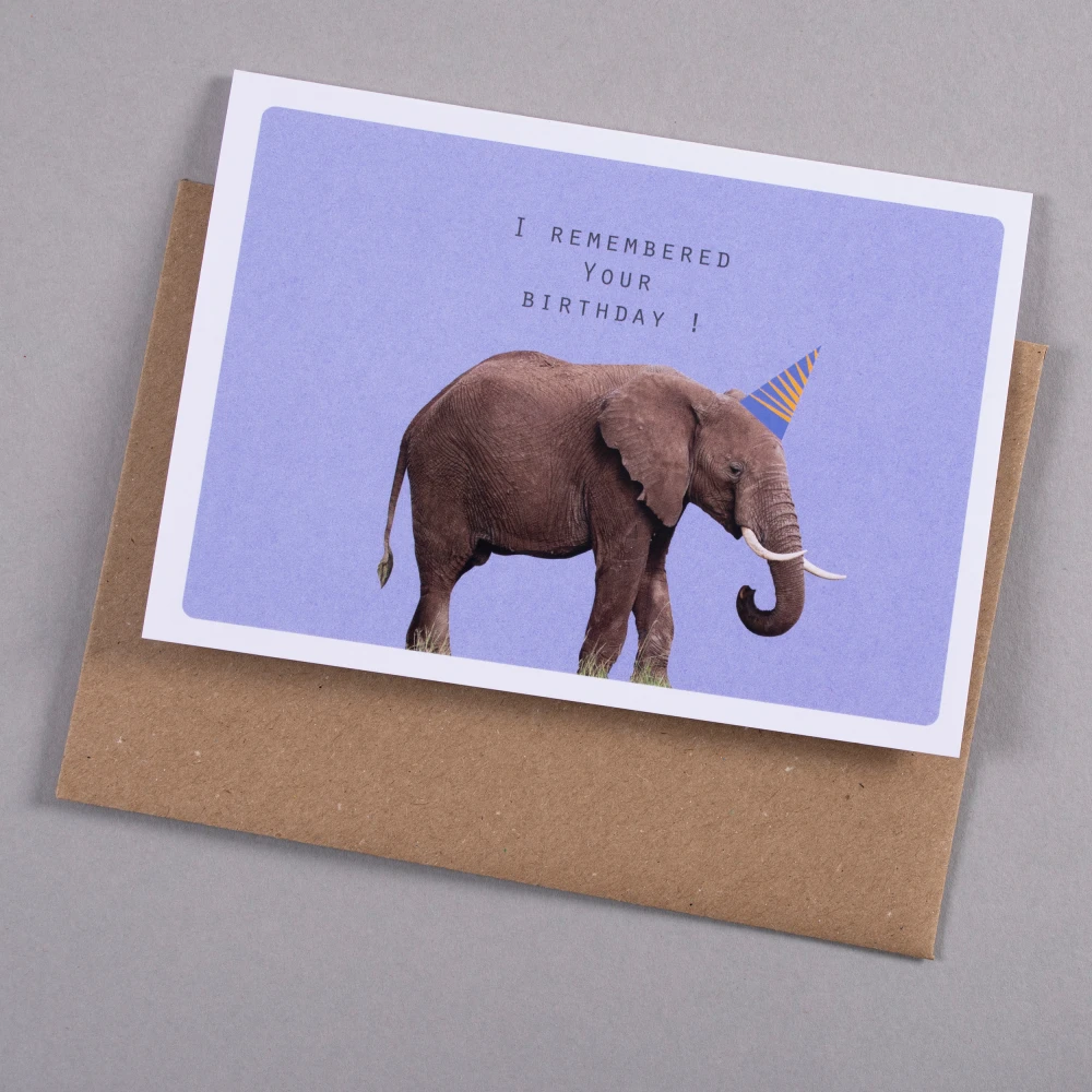 Birthday Card - Elephant